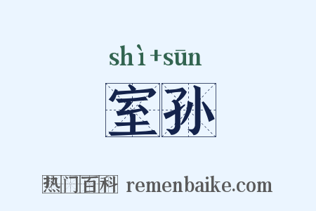 室孙是什么意思的图片
